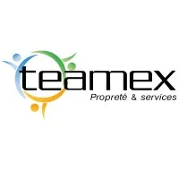 TEAMEX