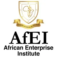 African Enterprise Institute African Enterprise Institute