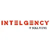 INTELGENCY IT Solutions INTELGENCY IT Solutions