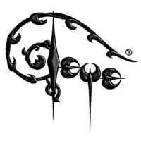 Teye Guitars