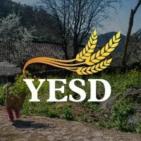 YESD Travel - Authentic Vietnam