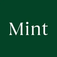 Mint - Hawke's Bay Mint - Hawke's Bay