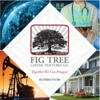 FIG Tree Capital Ventures, LLC
