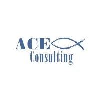 ACE Consulting Company, Inc.