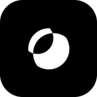 Icona Srl