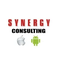 The SYNERGY Consulting