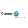 Connect I.T. Solutions, Inc. Connect I.T. Solutions, Inc.