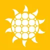 Future Solar