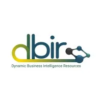 Dynamic Business Intelligence Resources, LLC