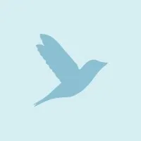 Bluebird Psychology