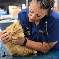 Mountain West Veterinary Specialists