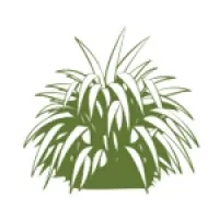 Abuse in Care Inquiry New Zealand Abuse in Care Inquiry New Zealand