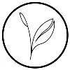 Kijani Forestry Kijani Forestry