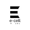 E-Cell MITAOE E-Cell MITAOE