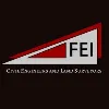 FEI FEI