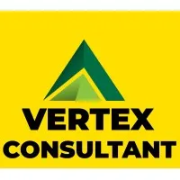 Vertex Consultant