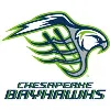 Chesapeake Bayhawks
