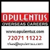 OPULENTUS - THE VISA COMPANY OPULENTUS - THE VISA COMPANY