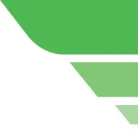 The Expert Witness Institute