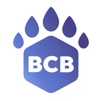 BC Biocarbon