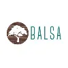 The BALSA Group