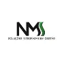 NMS Soluções Integradas em Gestão NMS Soluções Integradas em Gestão