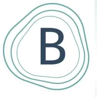 Bridge3 Soluções & Educação em ESG Bridge3 Soluções & Educação em ESG
