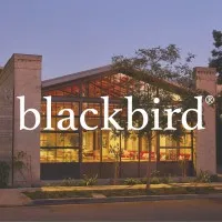 Blackbird Collective Blackbird Collective