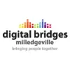 Digital Bridges Digital Bridges