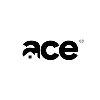 Ace Real Estate Development Limited Ace Real Estate Development Limited