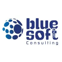 Blue Soft Consulting (ex-Daylight)