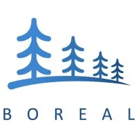 Boreal Environmental Services