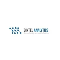 Bintel Analytics