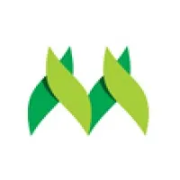 Fundação Meridional