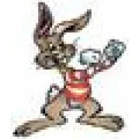 Big Bunny Market Inc