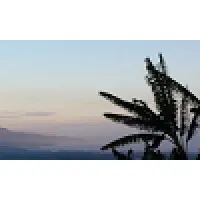 Zero Degrees - Finance