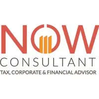 Now Expert Tax Consultants