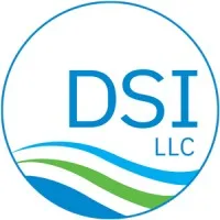 DSI, LLC