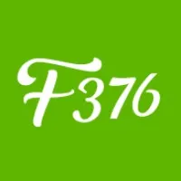 Foundry 376