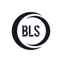Blue Line Consulting