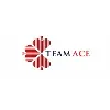 TeamAce TeamAce