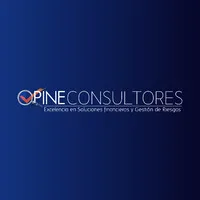 OPINE CONSULTORES 