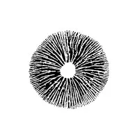 Saiko Mushrooms Inc.