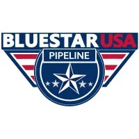 Bluestar USA , Inc. Bluestar USA , Inc.
