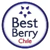 Best Berry Chile