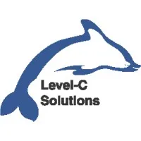 Level-C Solutions