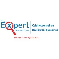 The Expert Consulting (TEC) The Expert Consulting (TEC)