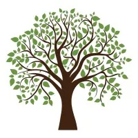 Less Boring-ify Trees Less Boring-ify Trees