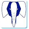 Plasticam
