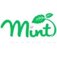 Mint Accountax